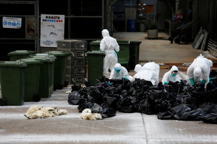Shanghai and Hong Kong confirm new human cases of H7N9 bird flu infection