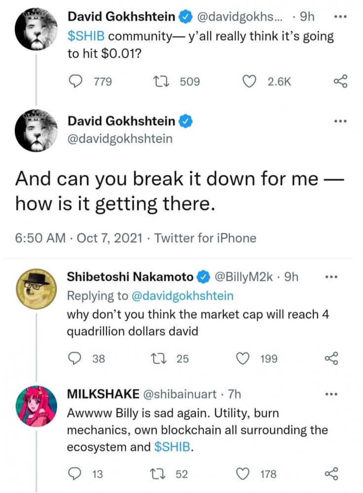 David Gokhshtein how Shiba Inu reaching $0.01 