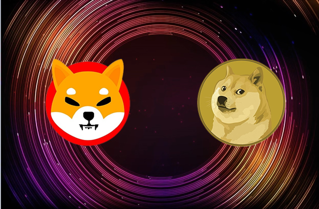 Shiba Inu Beats Dogecoin In 'Watchlist' Section For The First Time ...