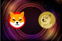 Shiba Inu Dogecoin Cryptocurrency Doge Killer