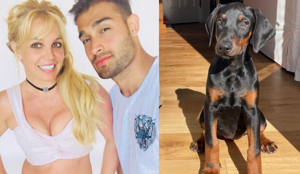 Britney's Got a doggy  