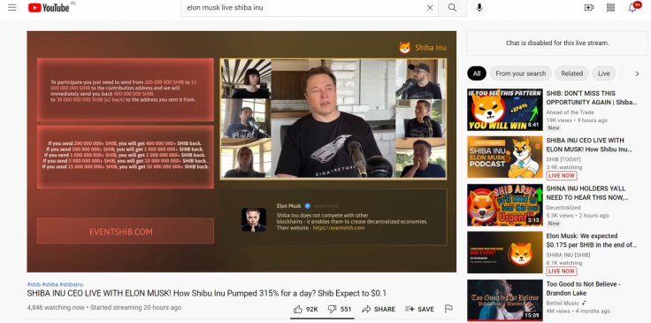Fake Elon Musk Shiba Inu Live Video