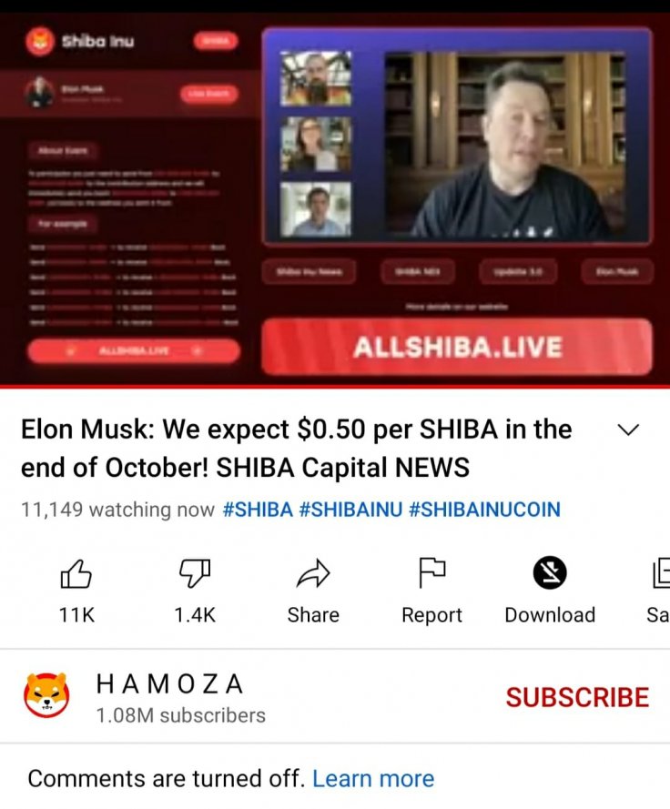 Fake Elon Musk Shiba Inu Live Video