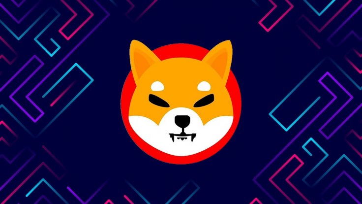 Shiba Inu Coin Crypto SHIB