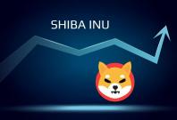 Shiba Inu Coin Crypto SHIB