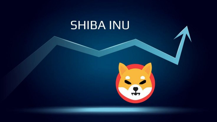 Shiba Inu Coin Crypto SHIB