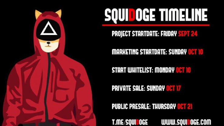 SquiDoge Token Rug Pull Scam Developers Presale