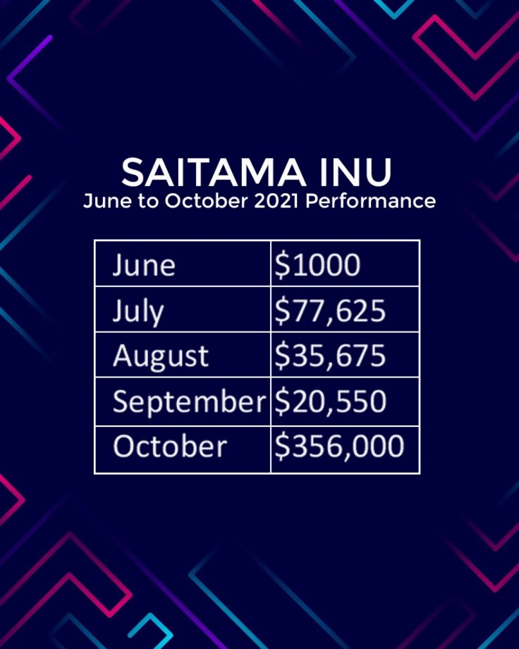 Saitama Inu June to October Investment Returns