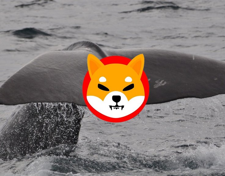 Shiba Inu Whale