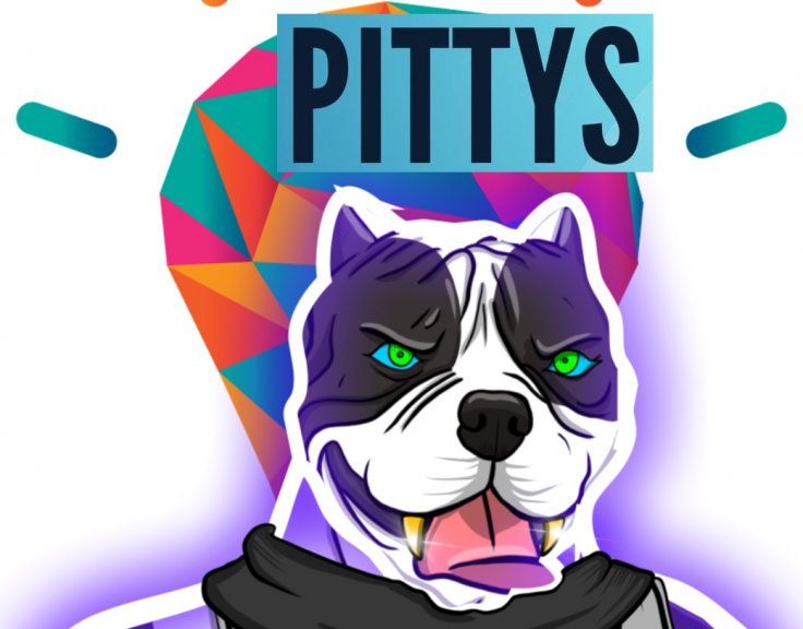 Pittys Coin Token NFT Pittys Coin Token NFT