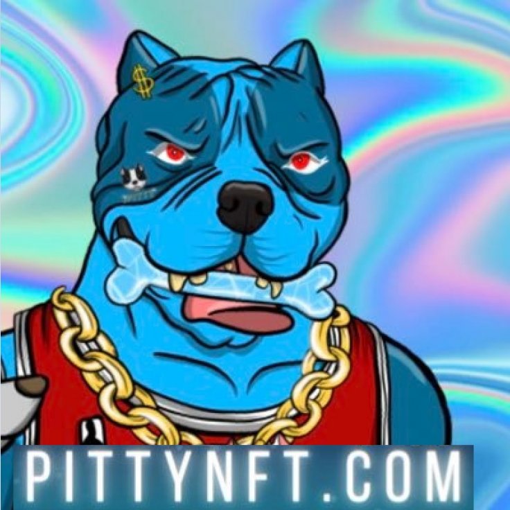 Pittys Coin Token NFT Pittys Coin Token NFT