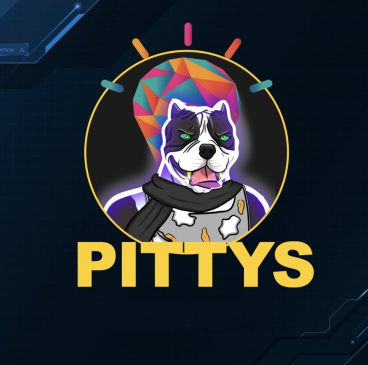 Pittys Coin Token NFT