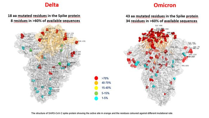 Omicron: Early Data From Europe Shows Symptoms are Either Mild or Absent