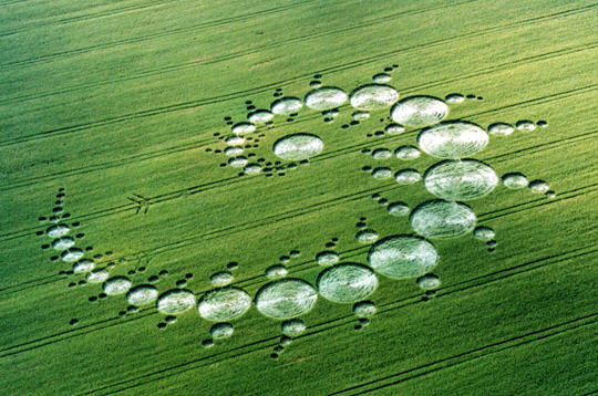 crop signals