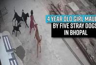 four-year-old-girl-mauled-by-five-stray-dogs-in-bhopal-horrific-incident-caught-on-camera