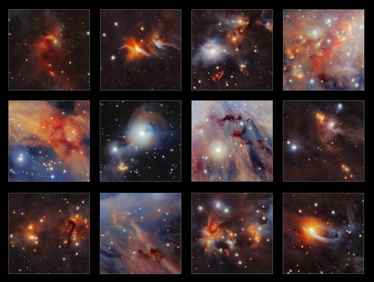 Orion collage Orion collage