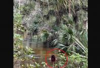 Paola Miranda-Rosa Paola Miranda-Rosa