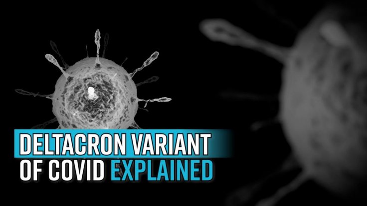 deltacron-variant-of-covid-explained-crucial-discovery-or-lab-contamination
