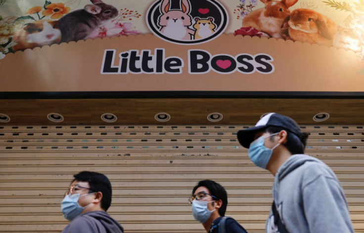 Little Boss pet store