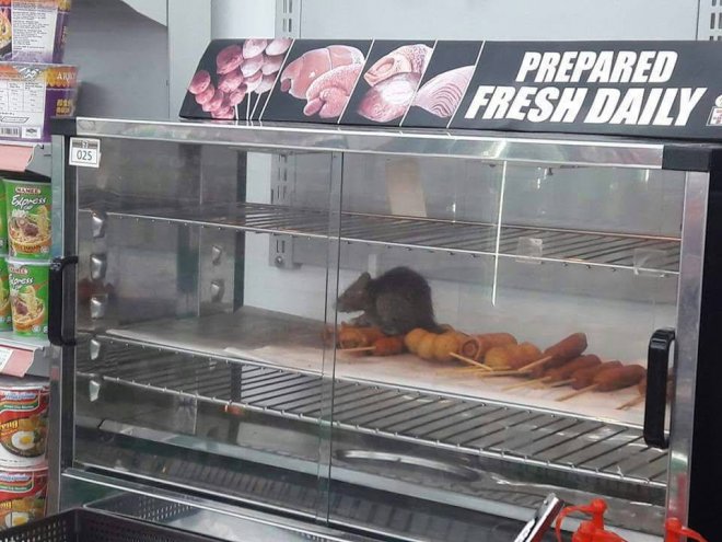 7-Eleven rat infestation