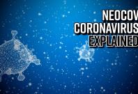 neocov-coronavirus-explained-1-in-3-will-die-if-infected-with-this-virus