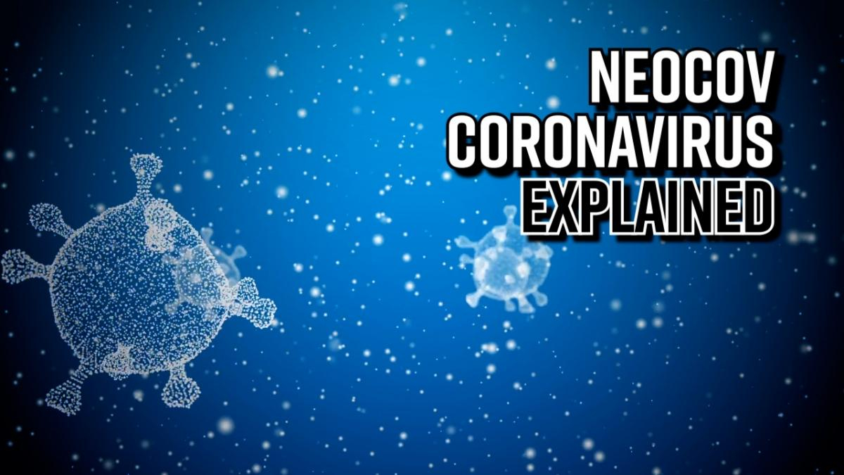 neocov-coronavirus-explained-1-in-3-will-die-if-infected-with-this-virus
