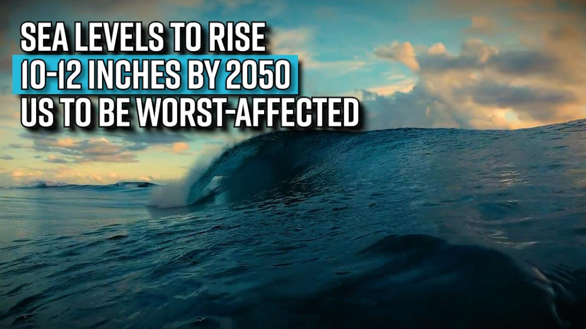 sea-levels-to-rise-10-12-inches-by-2050-us-to-be-worst-affected