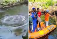 The incident was reported to the authorities who searched the area without any success The incident was reported to the authorities who searched the area without any success