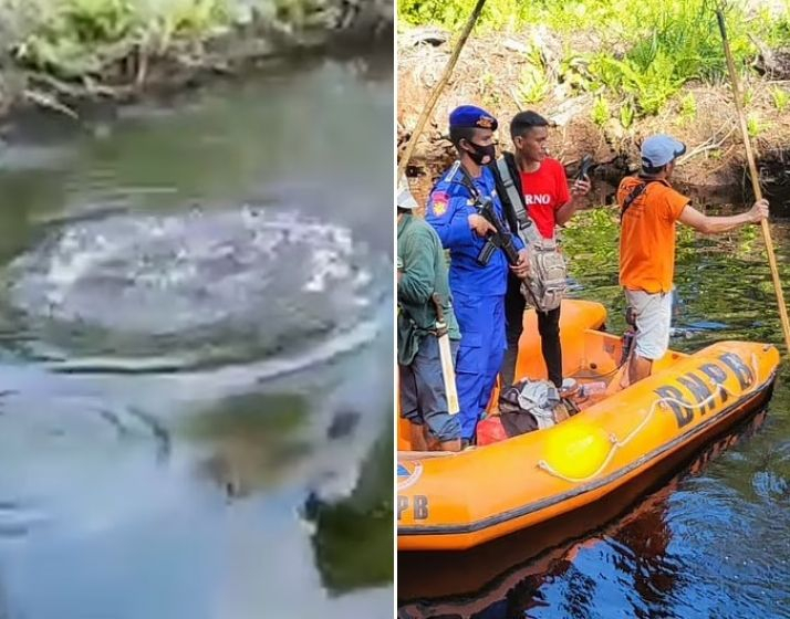 The incident was reported to the authorities who searched the area without any success The incident was reported to the authorities who searched the area without any success