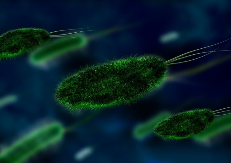 Pathogens Pathogens