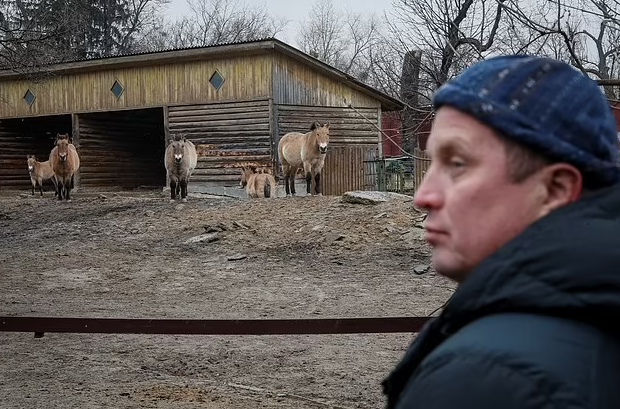 Zoo director, Kyrylo Trantin looking over animals