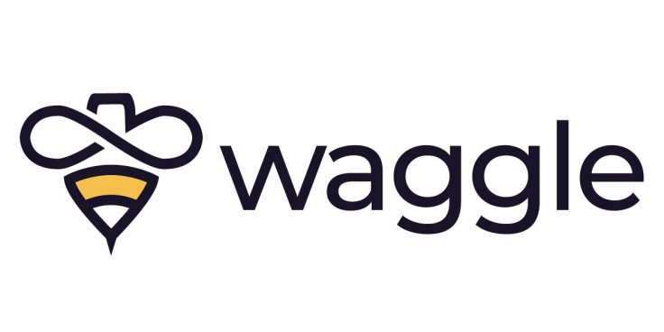 Waggle Network 