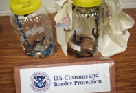 The leeches were confiscated for violating the US Endangered Species Act