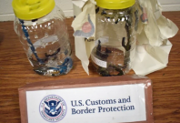 The leeches were confiscated for violating the US Endangered Species Act The leeches were confiscated for violating the US Endangered Species Act