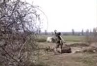 Ukraine soldier Ukraine soldier