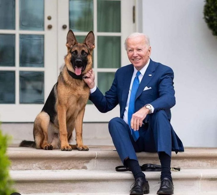 Joe Biden and his pet