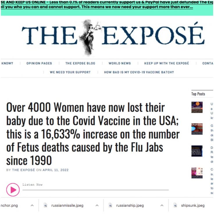 Article published by The Expose