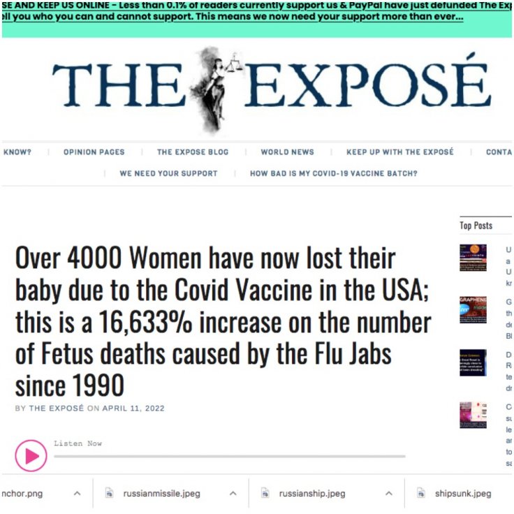 Article published by The Expose Article published by The Expose