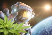 Weed can be grown in space 