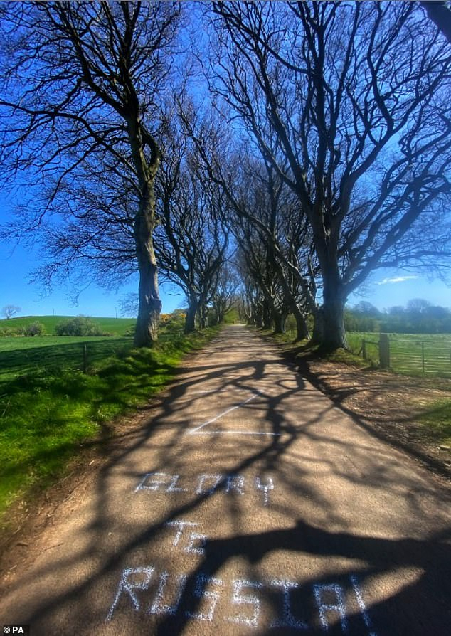 Dark Hedges Road, Ireland 