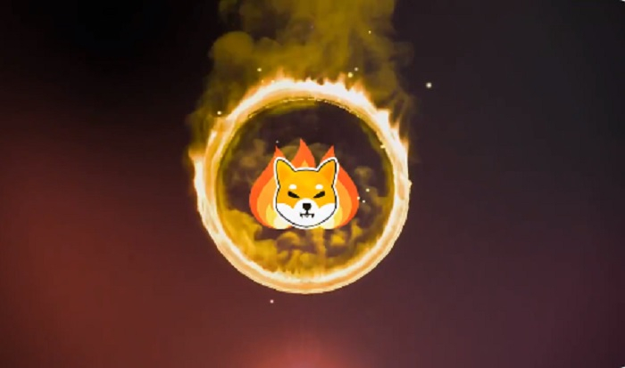Shiba Inu Shiba Inu