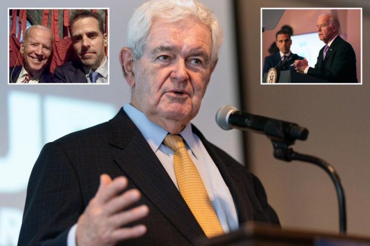 Former house speaker Newt Gingrich Former house speaker Newt Gingrich