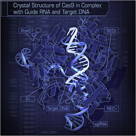 CRISPR technology 