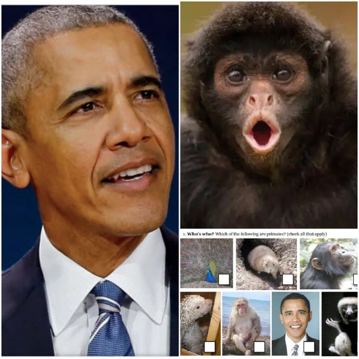 A Michigan school's assignment compared Barack Obama to monkeys and apes