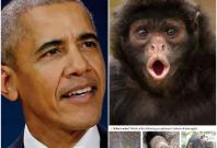 A Michigan school's assignment compared Barack Obama to monkeys and apes