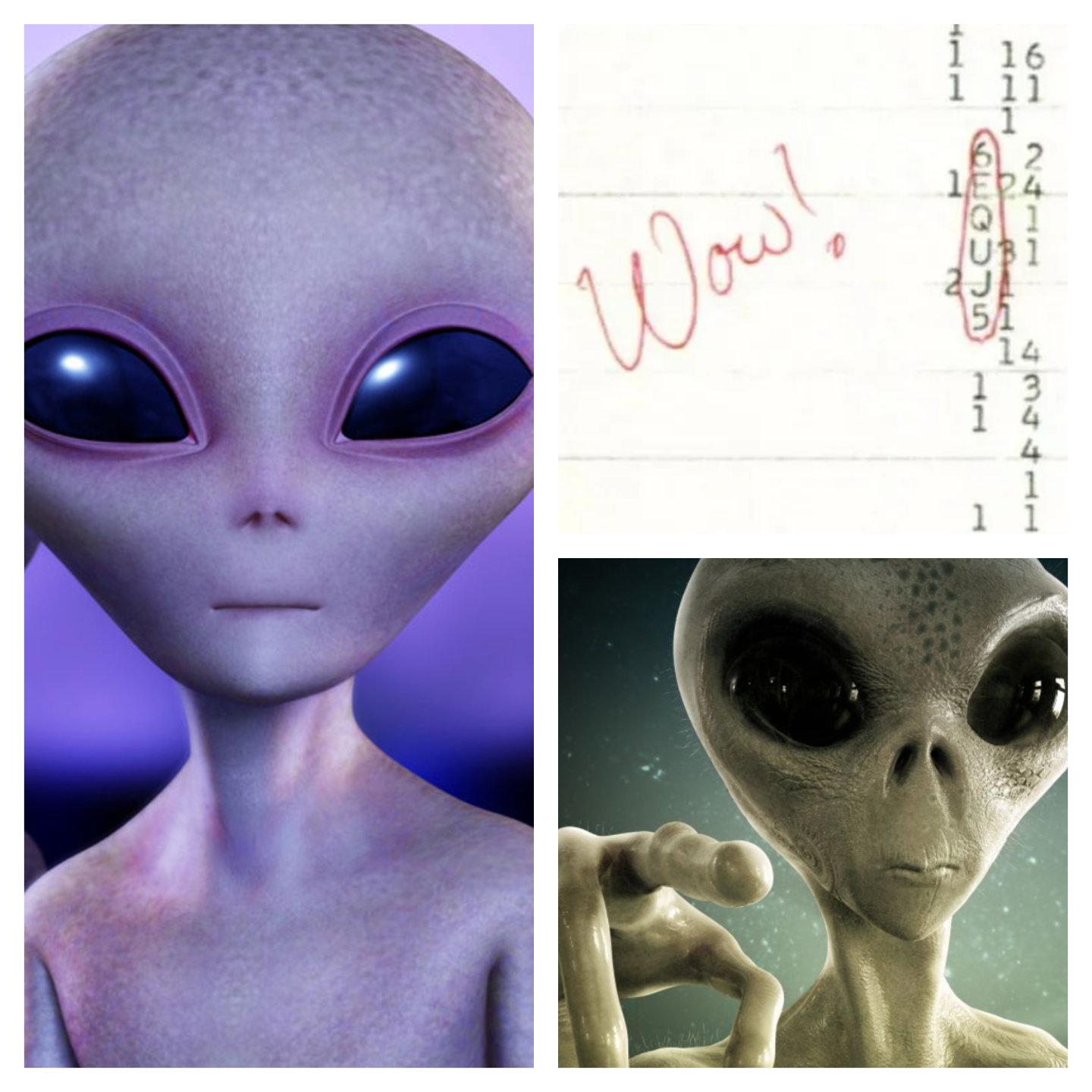 Astronomer Jerry Ehman wrote "Wow" next to a printout of the data.