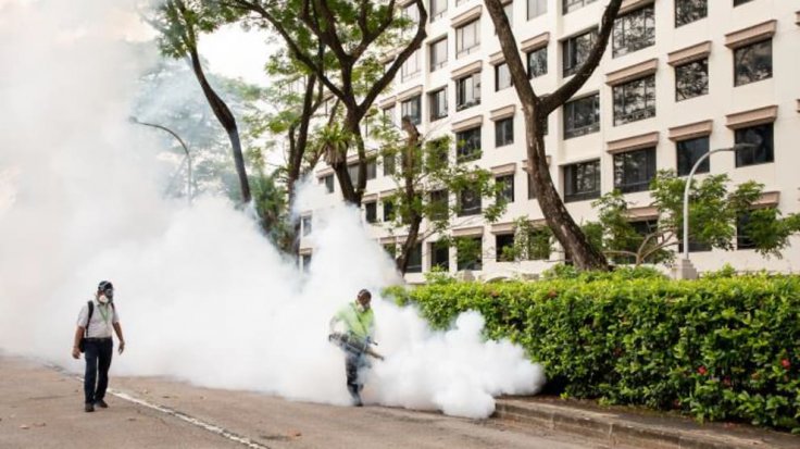 Singapore dengue outbreak 