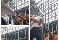An orangutan at the Indonesian zoo grabbed the visitor forcefully by the arm and yanked him toward the cage.
