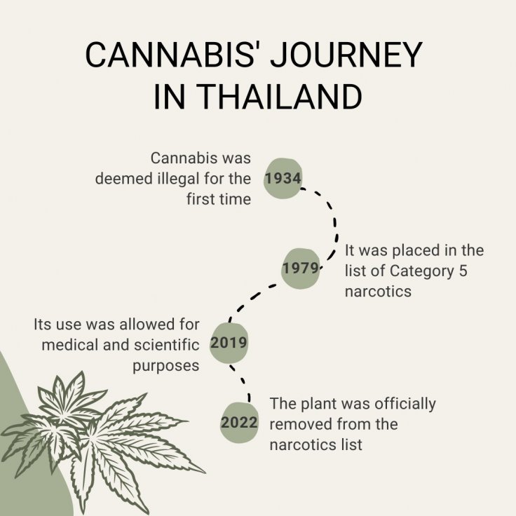 Cannabis Thailand 
