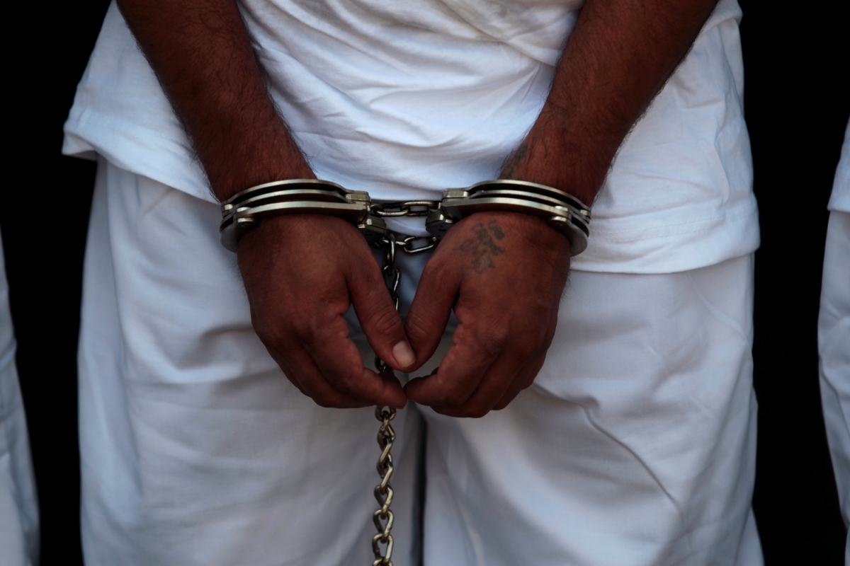 Picture for representation